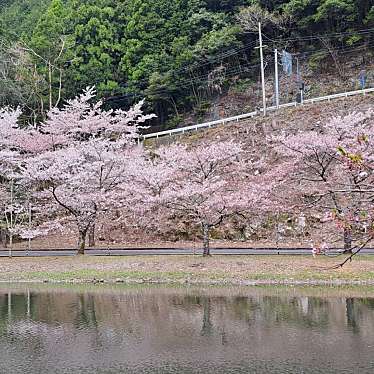 実際訪問したユーザーが直接撮影して投稿した上池原レジャー施設下北山スポーツ公園の写真