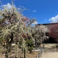 実際訪問したユーザーが直接撮影して投稿した藤方神社結城神社の写真