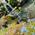 実際訪問したユーザーが直接撮影して投稿した杉野沢そば苗名滝苑の写真