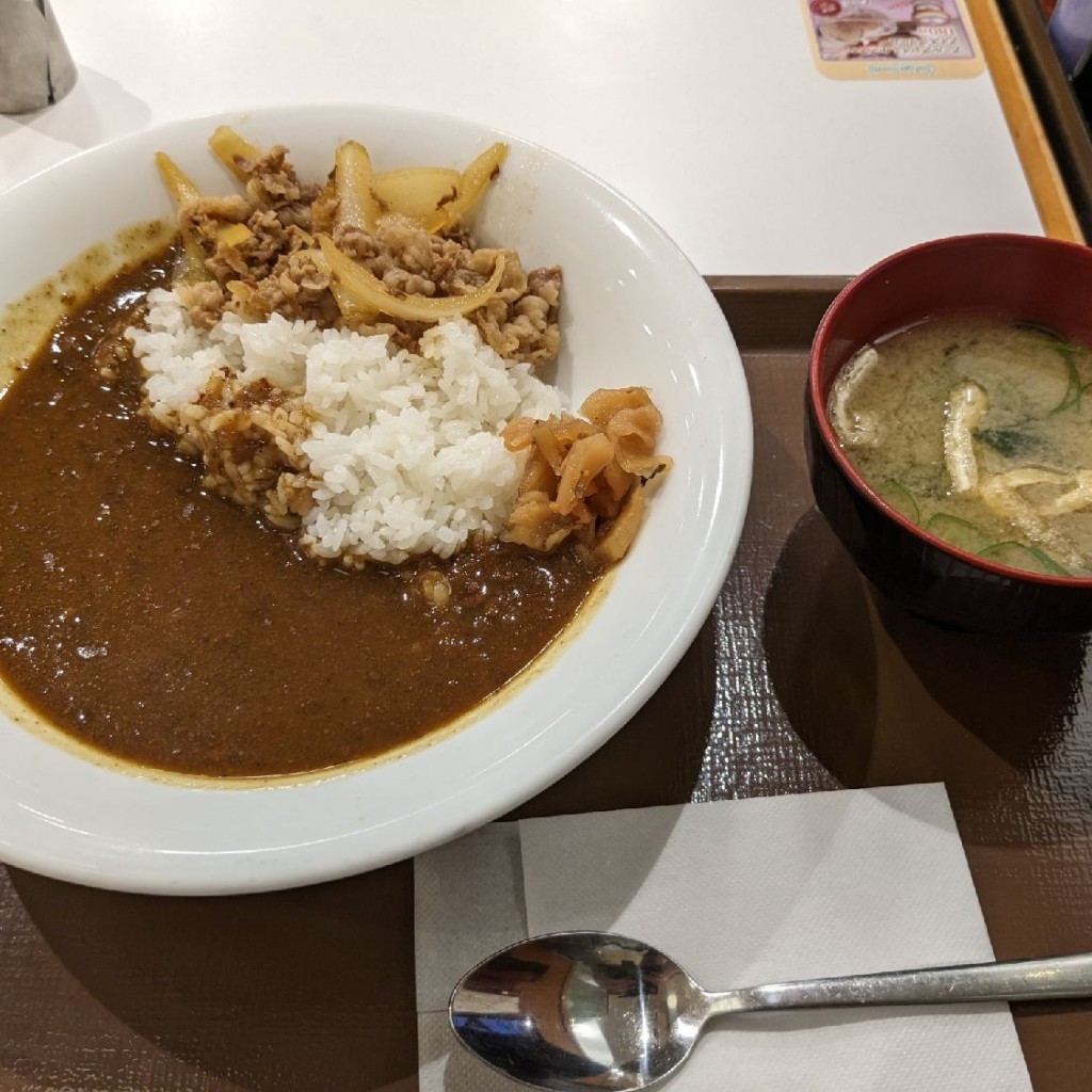 ユーザーが投稿したカレー並の写真 - 実際訪問したユーザーが直接撮影して投稿した山見町牛丼すき家 会津若松店の写真