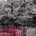 実際訪問したユーザーが直接撮影して投稿した初沢町寺大光寺の写真