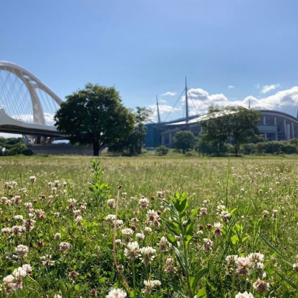 実際訪問したユーザーが直接撮影して投稿した白羽町公園白羽公園の写真