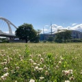 実際訪問したユーザーが直接撮影して投稿した白羽町公園白羽公園の写真