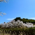 実際訪問したユーザーが直接撮影して投稿した蒲生町白男公園ふるさと公園の写真