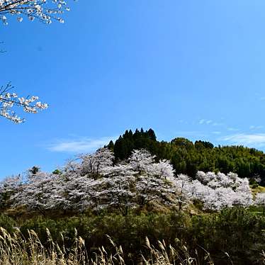 実際訪問したユーザーが直接撮影して投稿した蒲生町白男公園ふるさと公園の写真