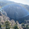 実際訪問したユーザーが直接撮影して投稿した田野橋九重 夢 大吊橋の写真