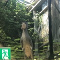 実際訪問したユーザーが直接撮影して投稿した港島南町動物園神戸どうぶつ王国の写真