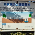 実際訪問したユーザーが直接撮影して投稿した北新横浜公園北新横浜公園の写真