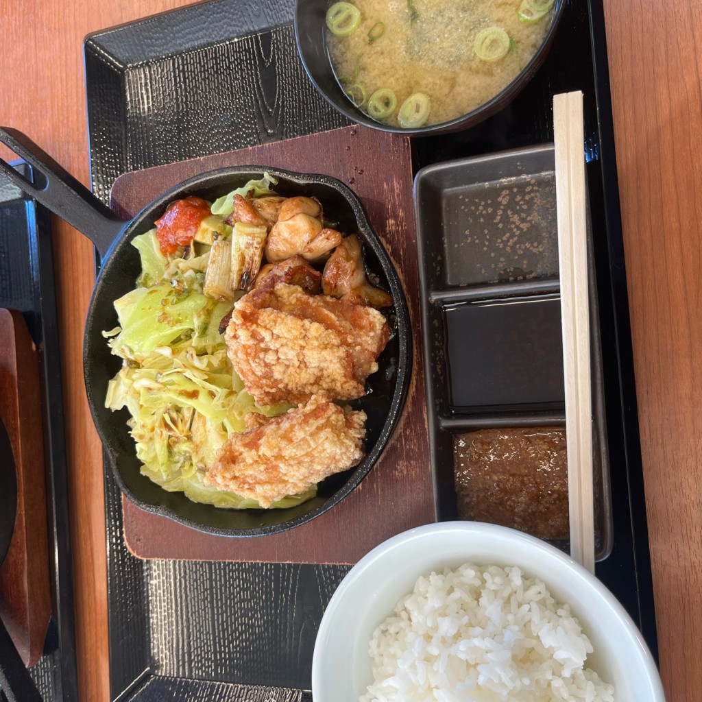 ユーザーが投稿したカラヤマ焼きの二種盛定食タレの写真 - 実際訪問したユーザーが直接撮影して投稿した沢渡町からあげからやま 愛知高浜店の写真