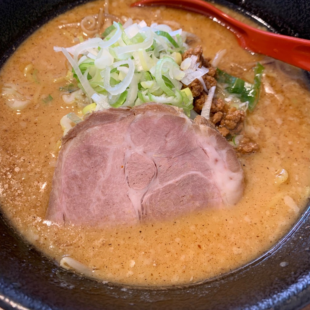 実際訪問したユーザーが直接撮影して投稿した南四条東ラーメン / つけ麺麺屋 海嵐の写真