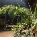 実際訪問したユーザーが直接撮影して投稿した東植物園 / 樹木園渋谷区ふれあい植物センターの写真