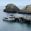 実際訪問したユーザーが直接撮影して投稿した仁科自然名所堂ヶ島(遊覧船乗り場)の写真