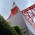 実際訪問したユーザーが直接撮影して投稿した芝公園スイーツマリオンクレープ 東京タワー店の写真