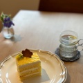 レモンのショートケーキ - 実際訪問したユーザーが直接撮影して投稿した高橋町カフェカフェ ワイズホームの写真のメニュー情報
