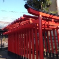 実際訪問したユーザーが直接撮影して投稿した西六郷神社白山神社の写真