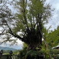 実際訪問したユーザーが直接撮影して投稿した森脇神社葛城一言主神社の写真