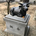 実際訪問したユーザーが直接撮影して投稿した北野神社北野天満宮の写真