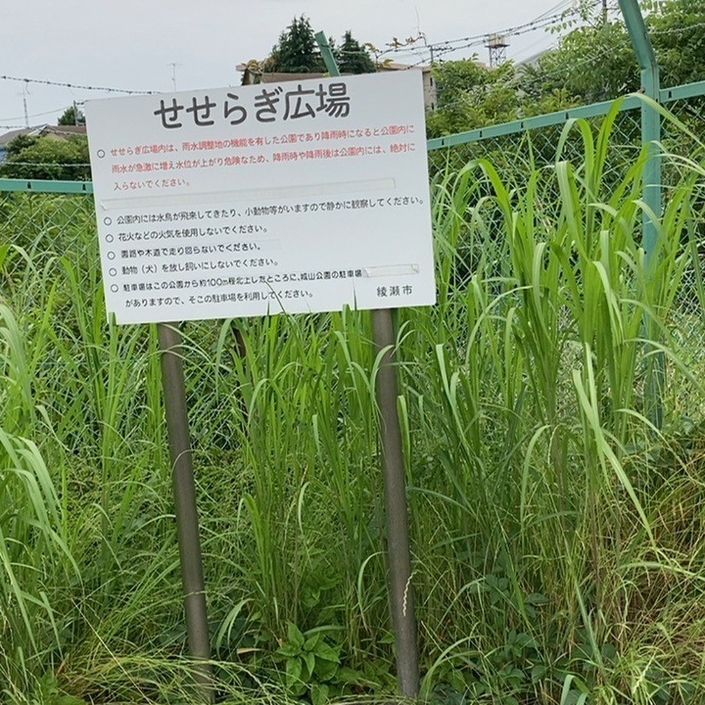 実際訪問したユーザーが直接撮影して投稿した吉岡公園せせらぎ広場の写真