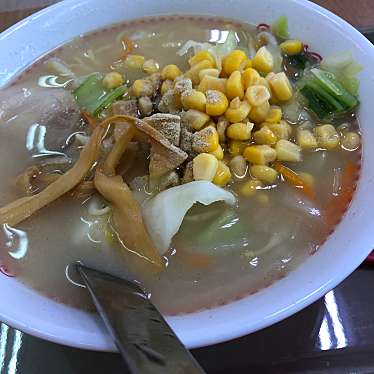 実際訪問したユーザーが直接撮影して投稿した浪打町ラーメン / つけ麺すがきや カーマ名古屋城北店の写真