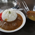 はな博カレー - 実際訪問したユーザーが直接撮影して投稿した大草焼肉焼肉はな博 幸田248店の写真のメニュー情報