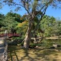 実際訪問したユーザーが直接撮影して投稿した丸の内公園町公園芦城公園の写真