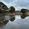 実際訪問したユーザーが直接撮影して投稿した生実町湖沼 / 池生実池の写真