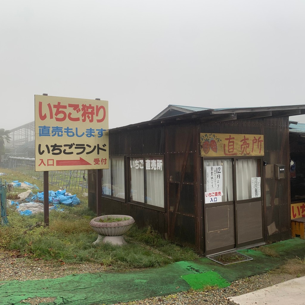 実際訪問したユーザーが直接撮影して投稿した関谷いちご狩りしおばらいちごランドの写真