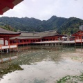 実際訪問したユーザーが直接撮影して投稿した宮島町神社嚴島神社 参拝入口の写真