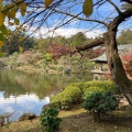 実際訪問したユーザーが直接撮影して投稿した成田公園成田山公園の写真