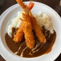 実際訪問したユーザーが直接撮影して投稿した藤沢カレー魚とカレーのお店の写真