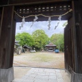 実際訪問したユーザーが直接撮影して投稿した膳所神社膳所神社の写真