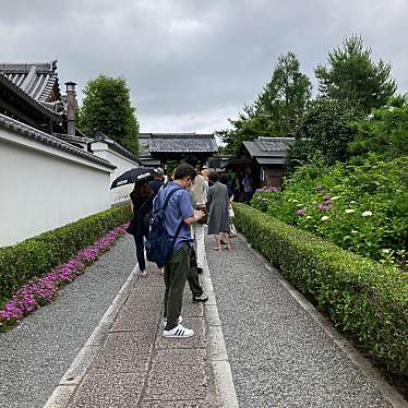 実際訪問したユーザーが直接撮影して投稿した花園妙心寺町日本茶専門店東林院の写真