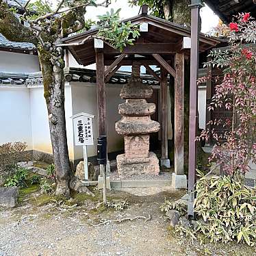 実際訪問したユーザーが直接撮影して投稿した泉涌寺山内町地蔵 / 石造物三重石塔の写真