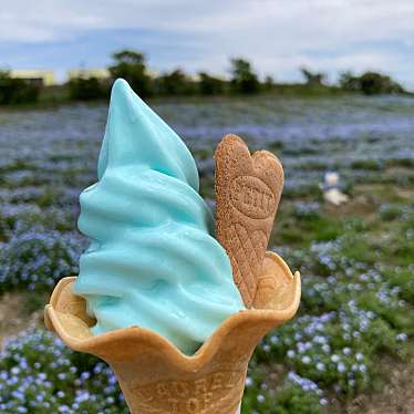 実際訪問したユーザーが直接撮影して投稿した北港緑地その他飲食店大阪舞洲ゆり園の写真