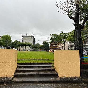 実際訪問したユーザーが直接撮影して投稿した神戸公園ぜにやま公園の写真