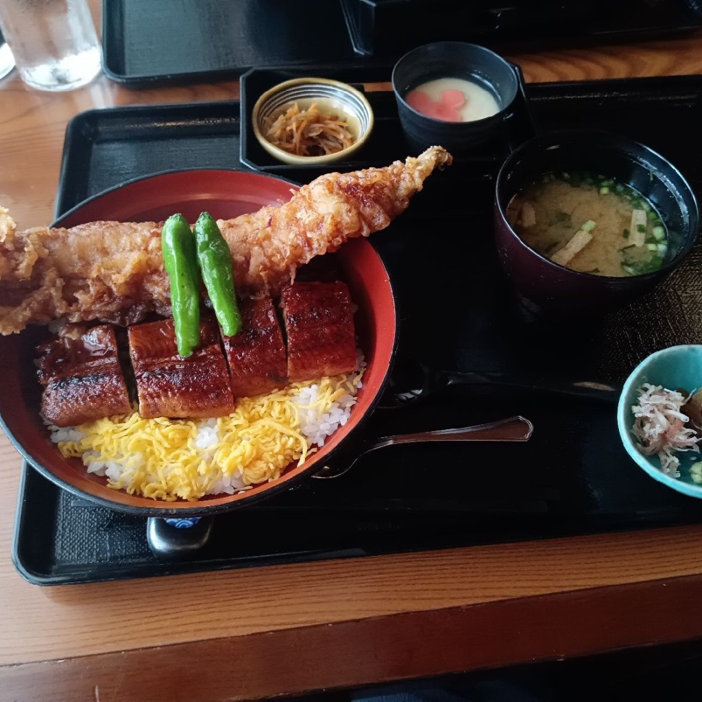 HAPPYSTARさんが投稿した舞浜和食 / 日本料理のお店れすとらん北齋 東京ディズニーランド/トウキョウディズニーランド レストランホクサイの写真