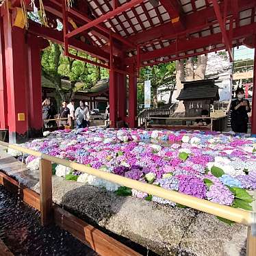 mmkuさんが投稿した宰府神社のお店太宰府天満宮/ダザイフテンマングウの写真