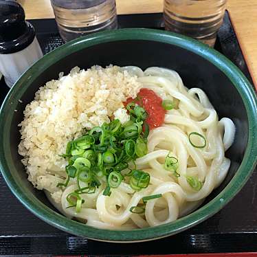 実際訪問したユーザーが直接撮影して投稿した春日町うどんさか枝うどん 春日店の写真