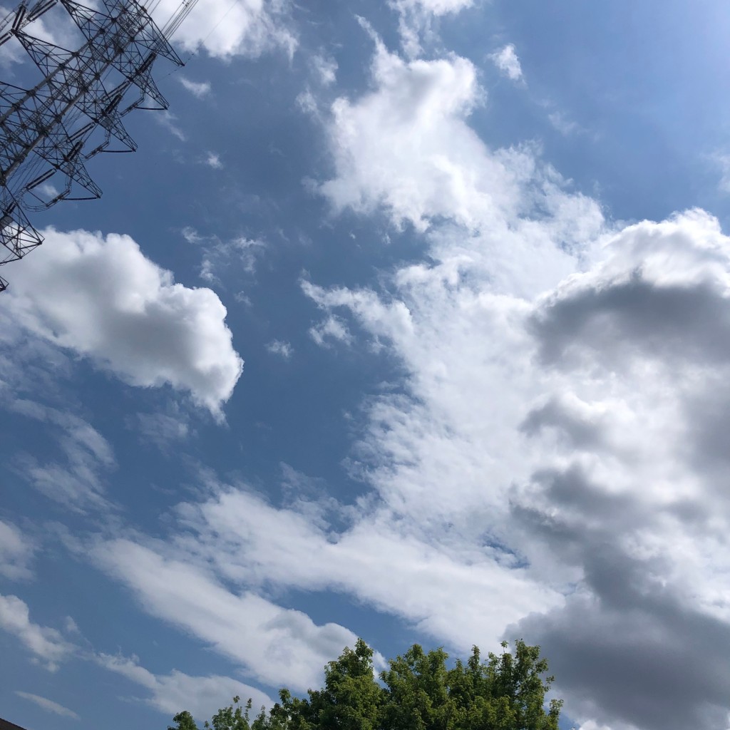 実際訪問したユーザーが直接撮影して投稿した新田瑞木町公園みずき公園の写真