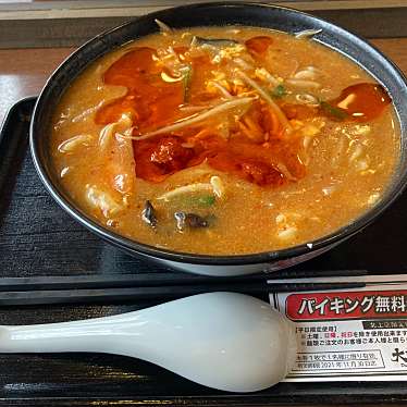 実際訪問したユーザーが直接撮影して投稿した村崎野ラーメン / つけ麺大連厨房 大連の龍の写真