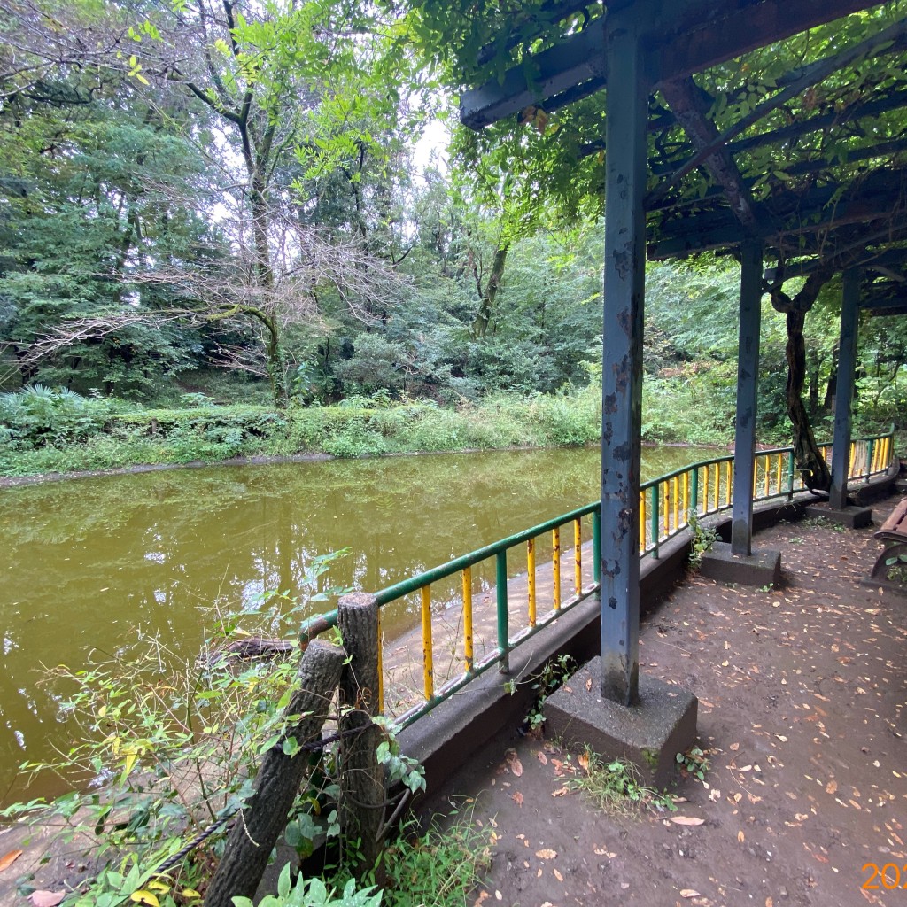 実際訪問したユーザーが直接撮影して投稿した西元町公園黒鐘公園の写真