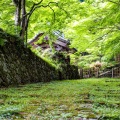 実際訪問したユーザーが直接撮影して投稿した百済寺町寺百済寺の写真