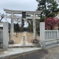 実際訪問したユーザーが直接撮影して投稿した菅野公園白幡天神公園の写真