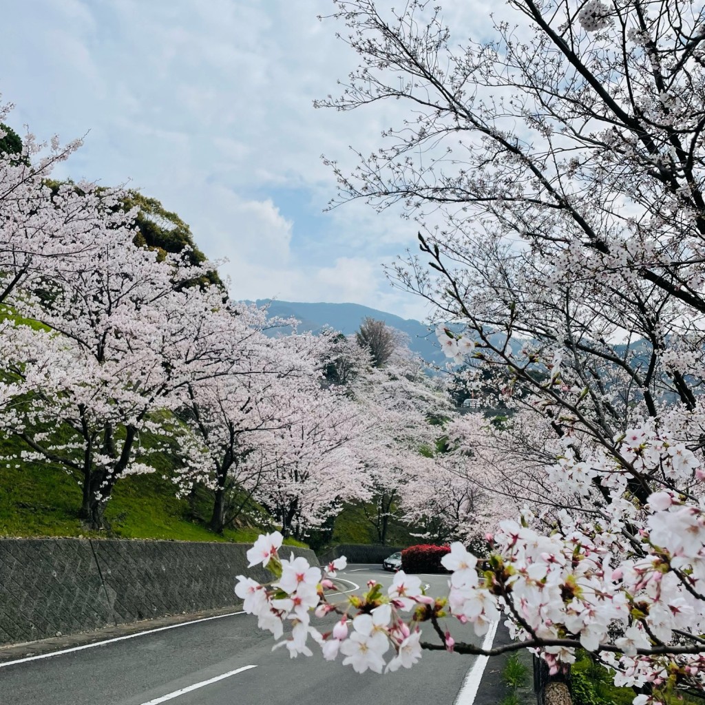 実際訪問したユーザーが直接撮影して投稿した双海町高岸公園ふたみ潮風ふれあい公園の写真