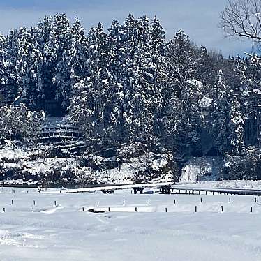 実際訪問したユーザーが直接撮影して投稿した西川口野 / 川遊び川口やな場の写真