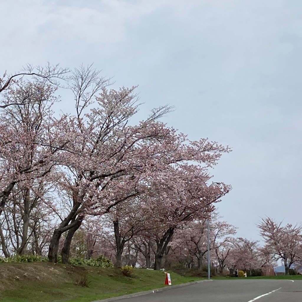 実際訪問したユーザーが直接撮影して投稿した厚田区望来公園戸田記念墓地公園の写真