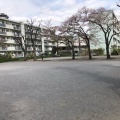 実際訪問したユーザーが直接撮影して投稿した高野台公園都営南田中アパート 北児童遊園の写真