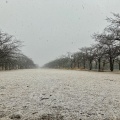 実際訪問したユーザーが直接撮影して投稿した公園宝野公園の写真