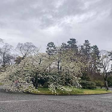実際訪問したユーザーが直接撮影して投稿した京都御苑歴史的建造物閑院宮邸跡の写真