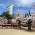 実際訪問したユーザーが直接撮影して投稿した宮元町公園高崎公園の写真